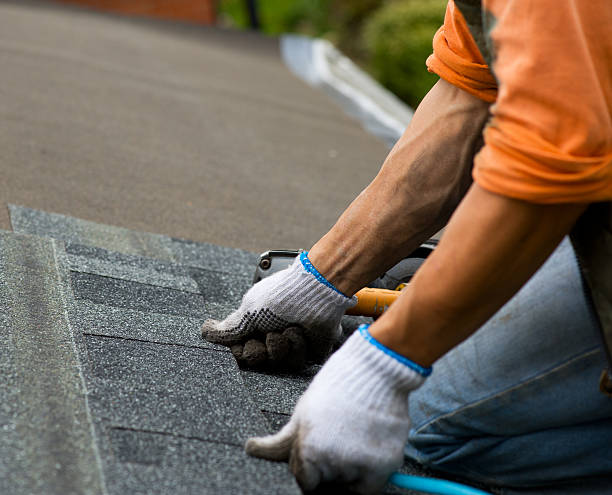 Roof Gutter Cleaning in Carolina Beach, NC